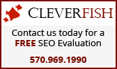 Cleverfish seo search engine optimization